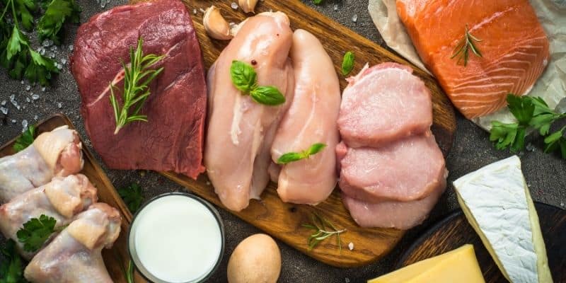 Best Protein Sources