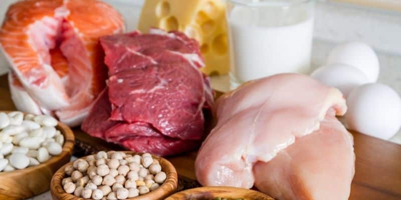Cheap Protein Sources