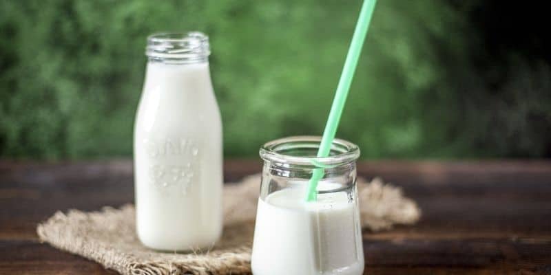 Milk for Building Muscle