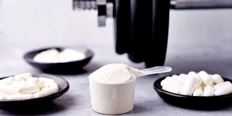 effects of creatine on muscle growth